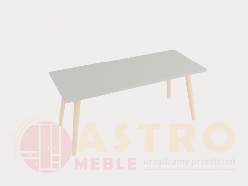 41 jasny szary-buk.jpg